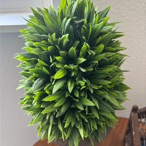 Lush Green Faux Topiary Final Sale